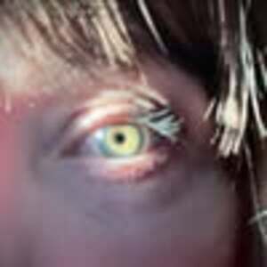 Meet your Posher, Anica